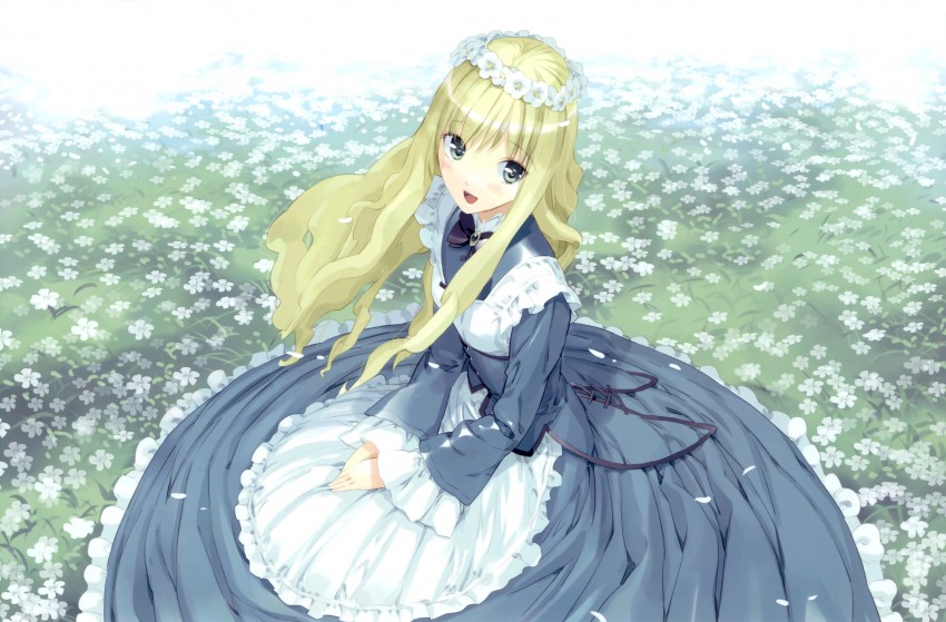 alice (alice's adventures in wonderland) drawn by ueda_ryou