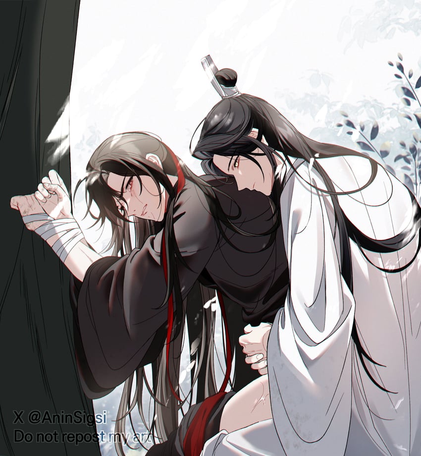 wei wuxian and lan wangji (modao zushi) drawn by aninsigsi