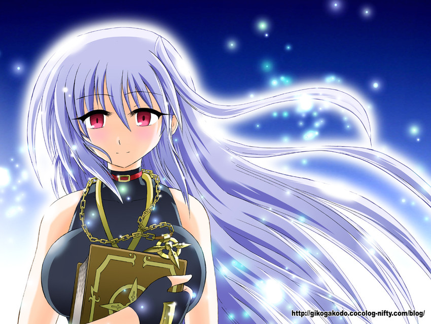 reinforce, schwertkreuz, and tome of the night sky (lyrical nanoha and 2 more) drawn by wakabayashi_makoto