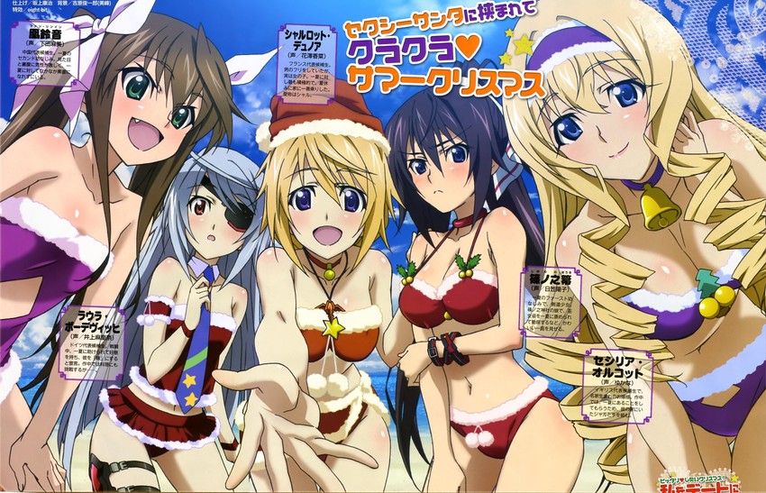 charlotte dunois, cecilia alcott, laura bodewig, shinonono houki, and huang lingyin (infinite stratos) drawn by hashimoto_takayoshi