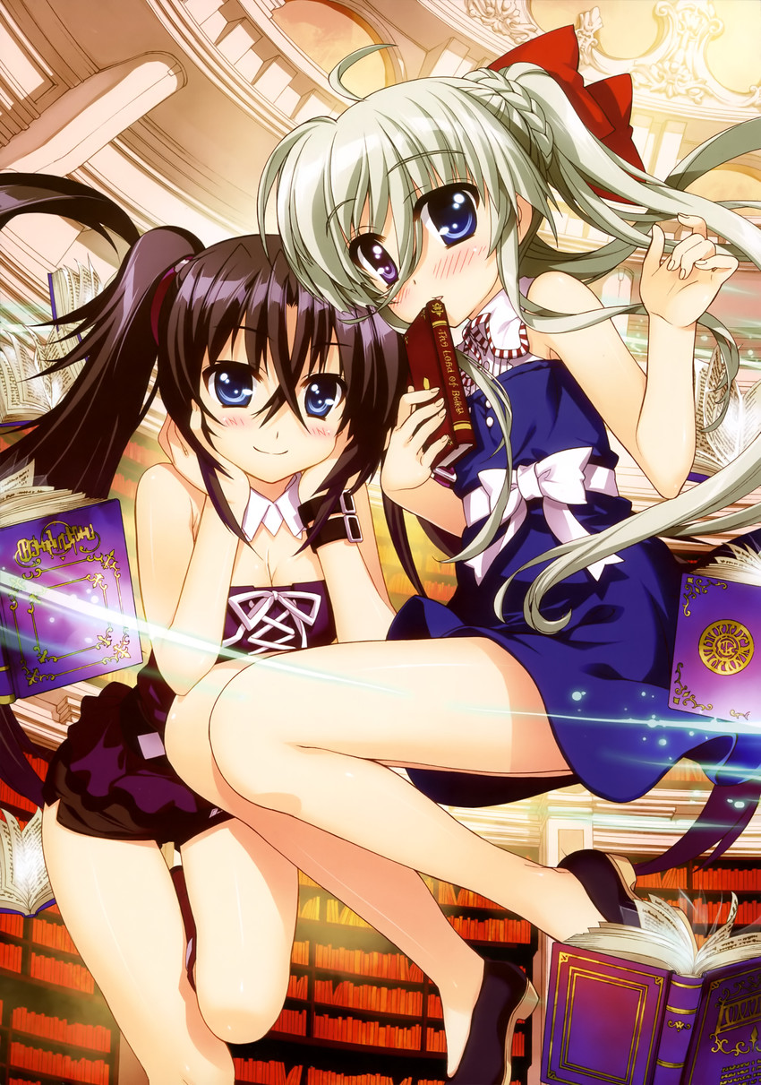 einhard stratos and sieglinde eremiah (lyrical nanoha and 1 more) drawn by fujima_takuya