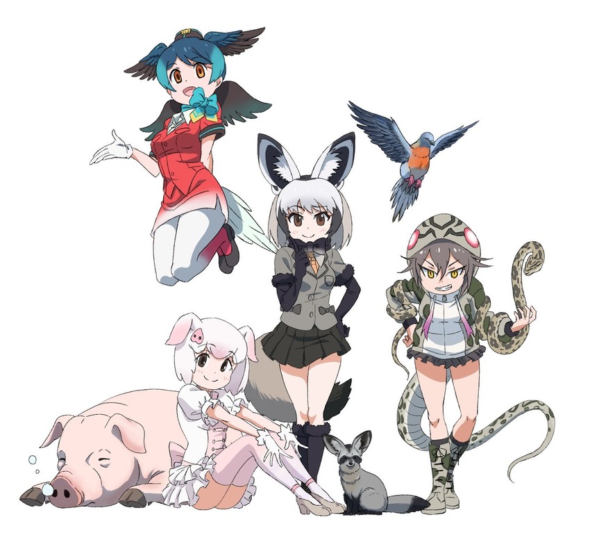passenger pigeon, bat-eared fox, pig, and okinawa habu (kemono friends and 1 more) drawn by yamaguchi_yoshimi