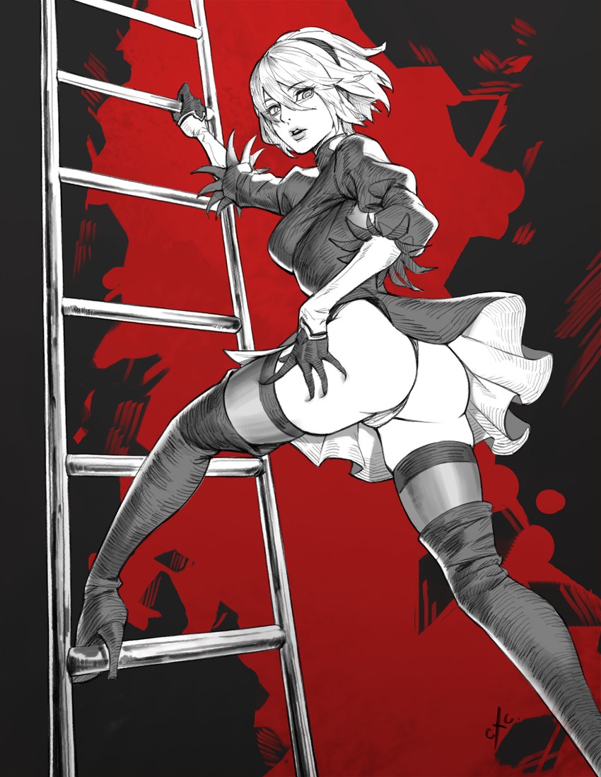 2b (nier and 1 more) drawn by c.x.c