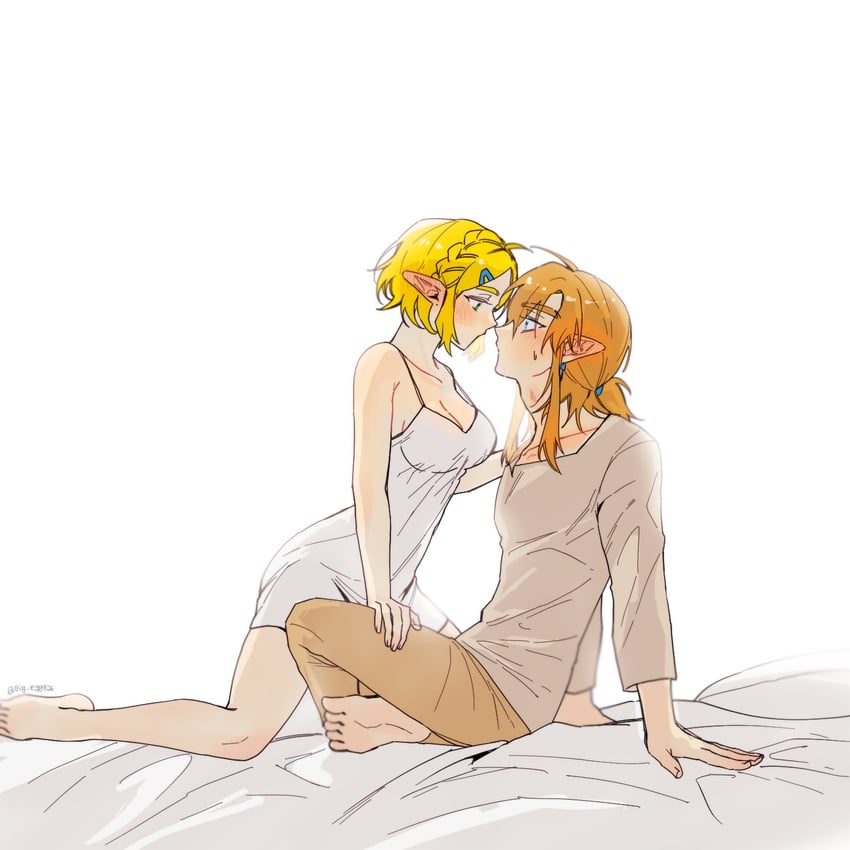 link and princess zelda (the legend of zelda and 1 more) drawn by big_egg526