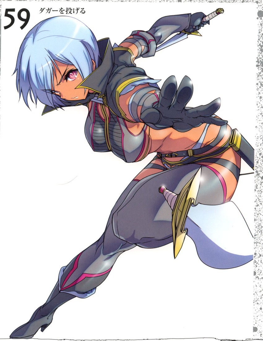 irma and fang assassin irma (queen's blade) drawn by akaga_hirotaka