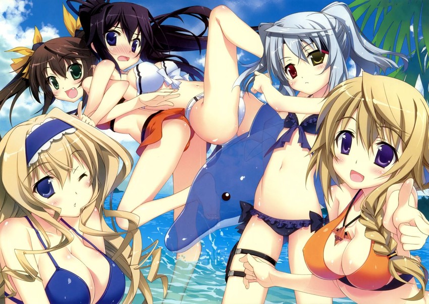 charlotte dunois, cecilia alcott, laura bodewig, shinonono houki, and huang lingyin (infinite stratos) drawn by fujima_takuya