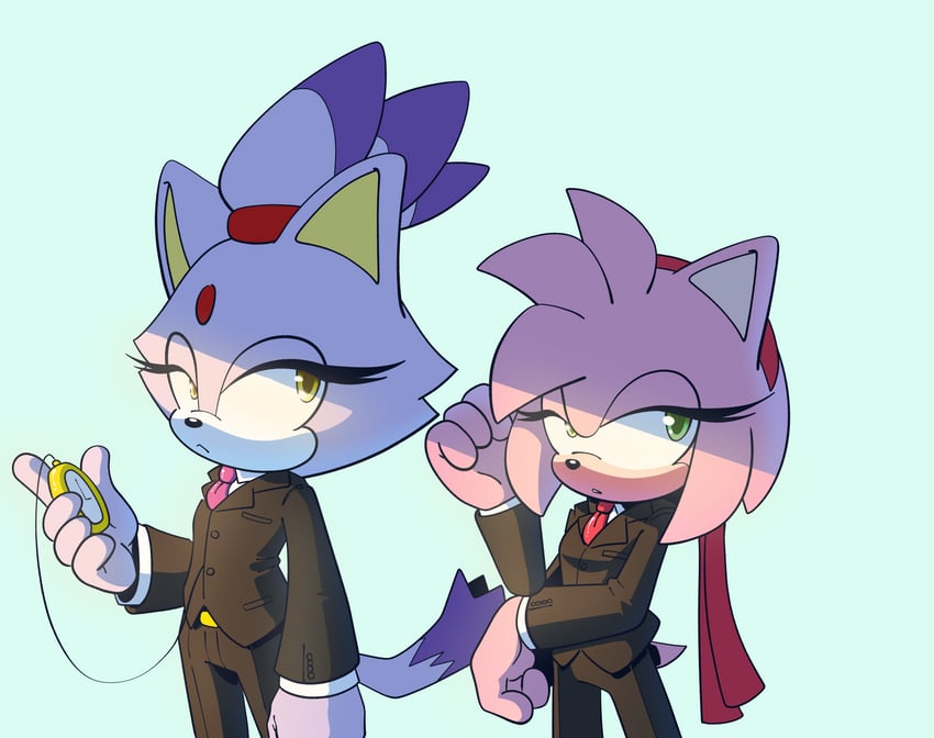 amy rose and blaze the cat (sonic) drawn by novika
