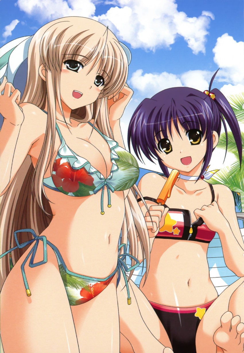 lily-strosek and isis egret (lyrical nanoha and 1 more) drawn by higa_yukari