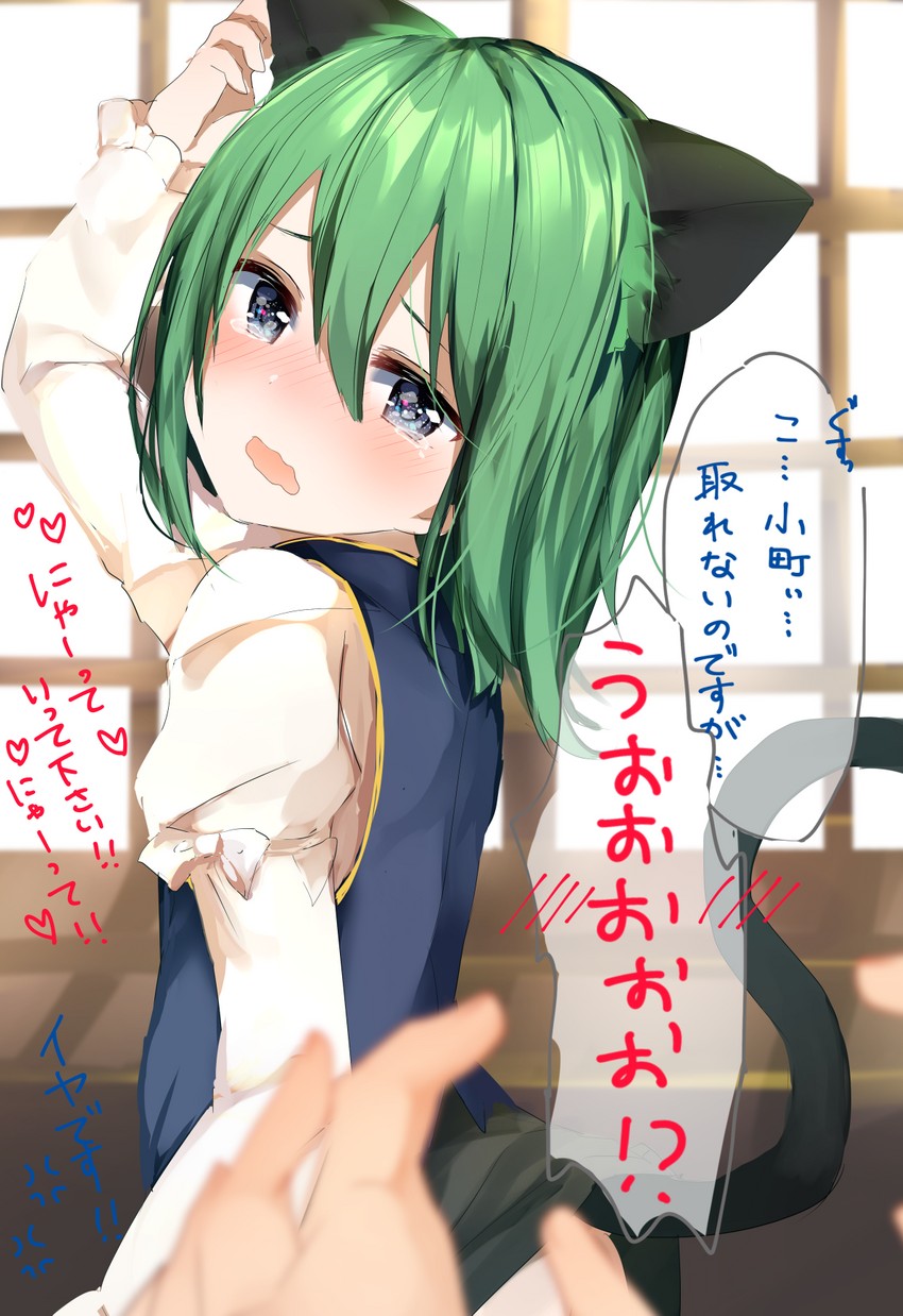 shiki eiki and onozuka komachi (touhou) drawn by karasusou_nano
