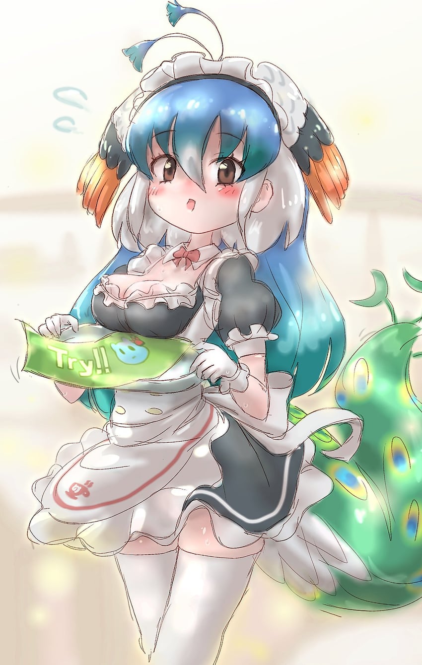 peafowl (kemono friends and 1 more) drawn by k_(susiinochi24)
