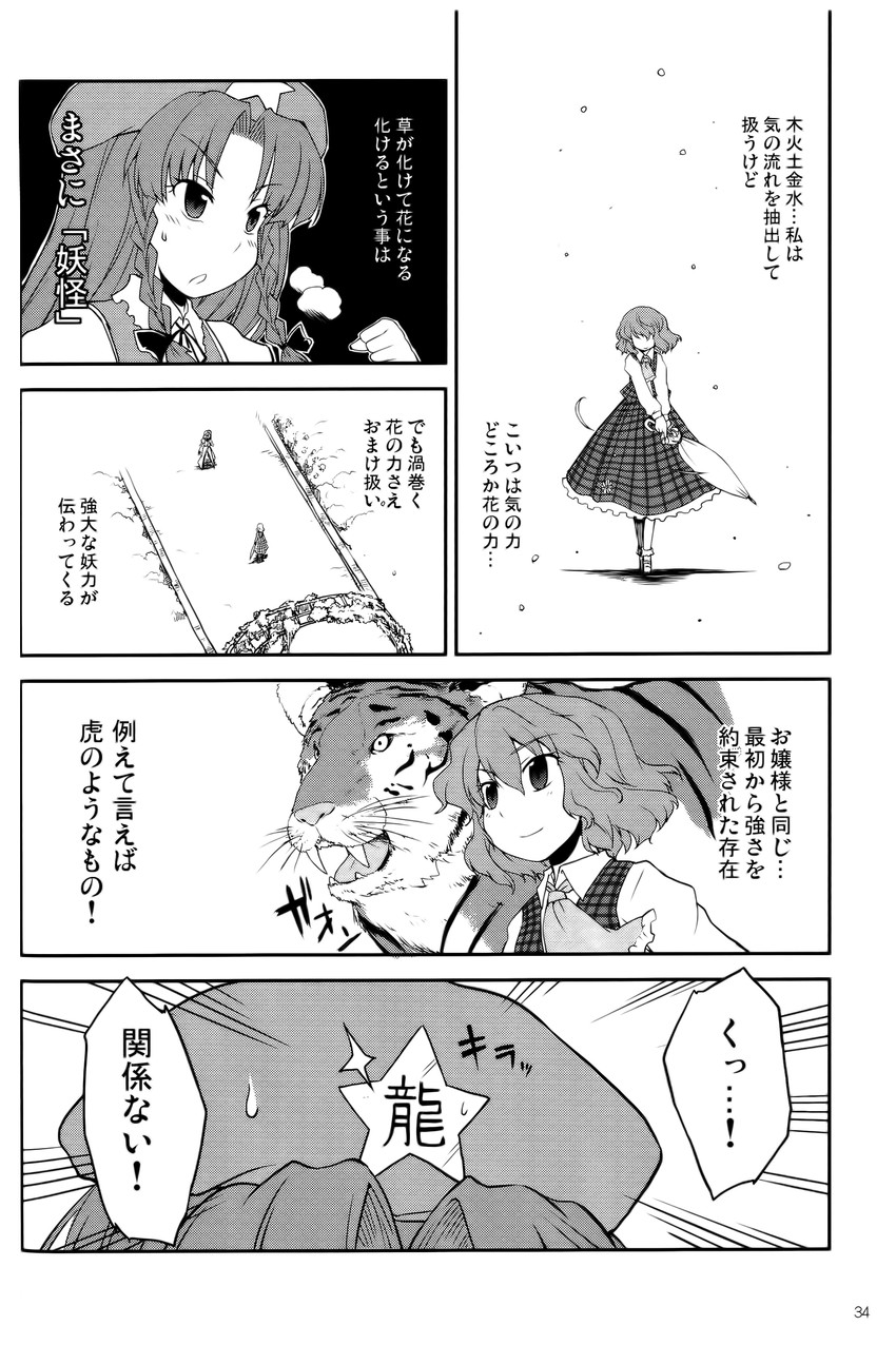 hong meiling and kazami yuuka (touhou) drawn by mizumoto_tadashi