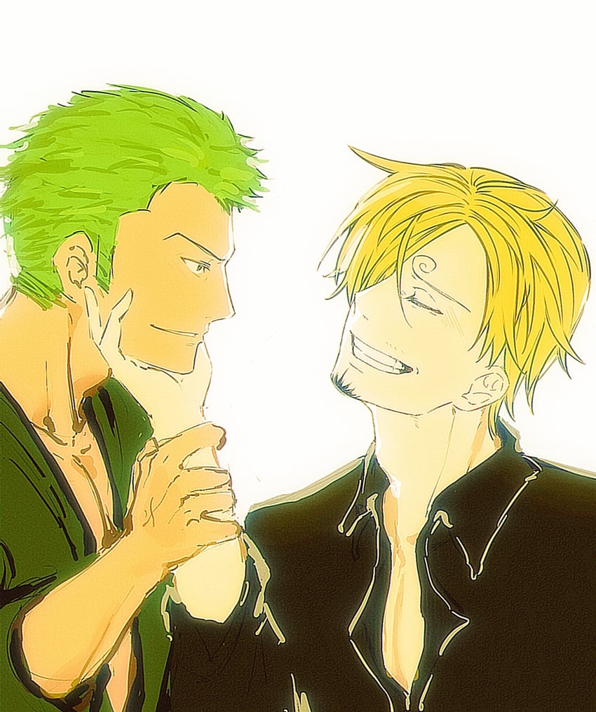 roronoa zoro and sanji (one piece) drawn by brener
