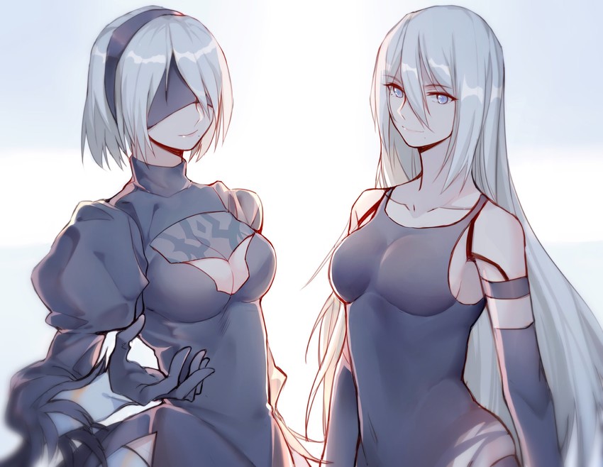 2b and a2 (nier and 1 more) drawn by yorukun