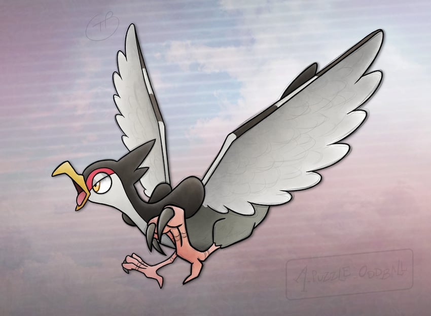 tranquill (pokemon) drawn by thomdeoddball