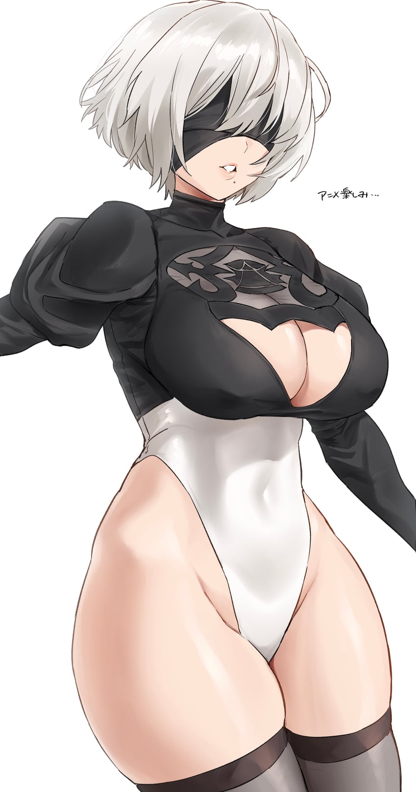 2b (nier and 1 more) drawn by hotate-chan