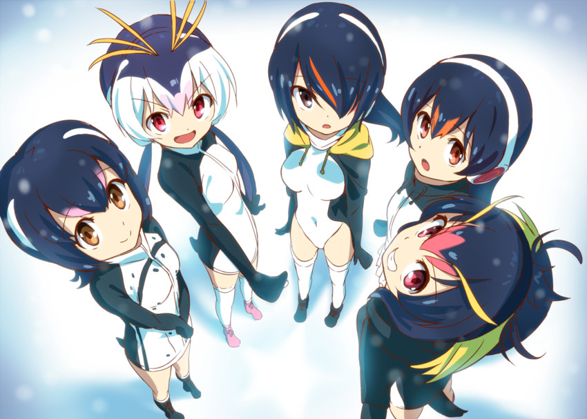 emperor penguin, humboldt penguin, royal penguin, rockhopper penguin, and gentoo penguin (kemono friends) drawn by tomato_(lsj44867)