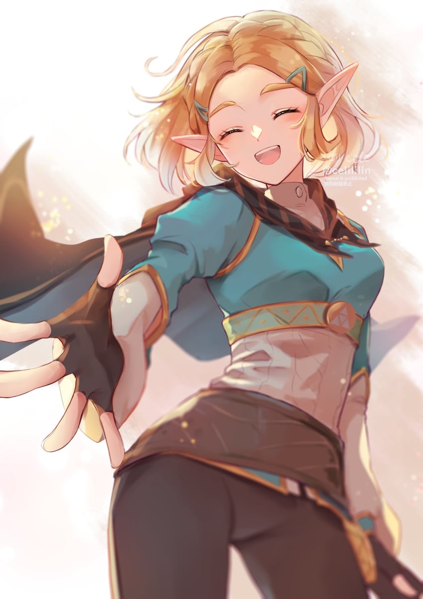 princess zelda (the legend of zelda and 1 more) drawn by seri_(yuukasakura)