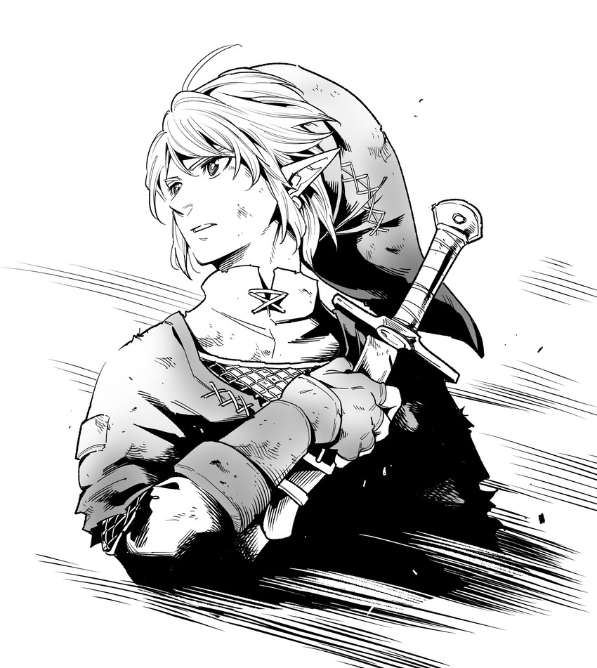 link (the legend of zelda and 1 more) drawn by dante07180