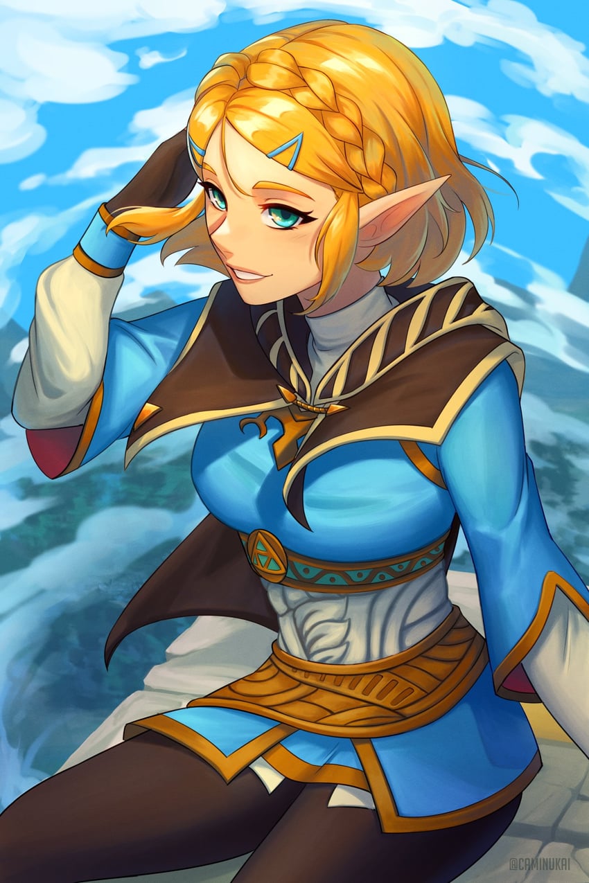 princess zelda (the legend of zelda and 1 more) drawn by caminukai