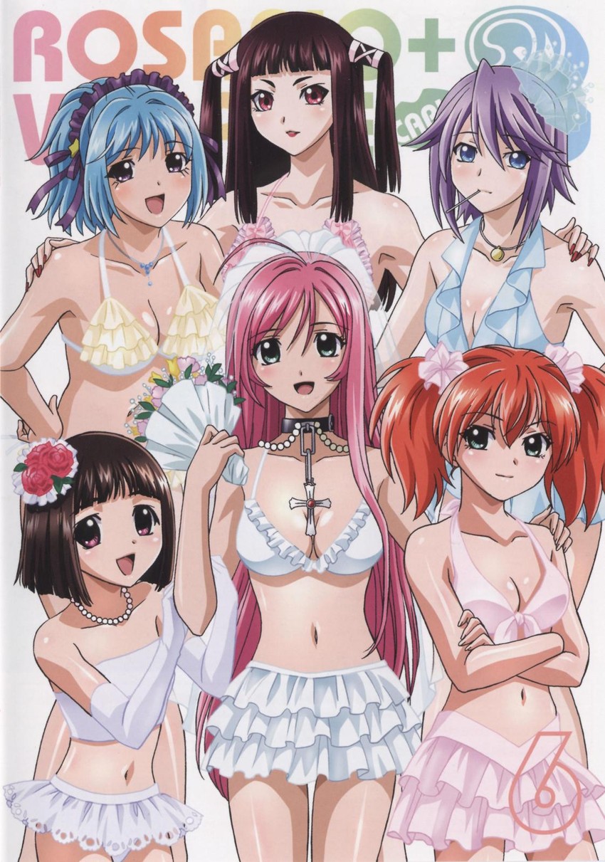 akashiya moka, shirayuki mizore, kurono kurumu, sendou yukari, toujou ruby, and 1 more (rosario+vampire) drawn by fujita_mariko