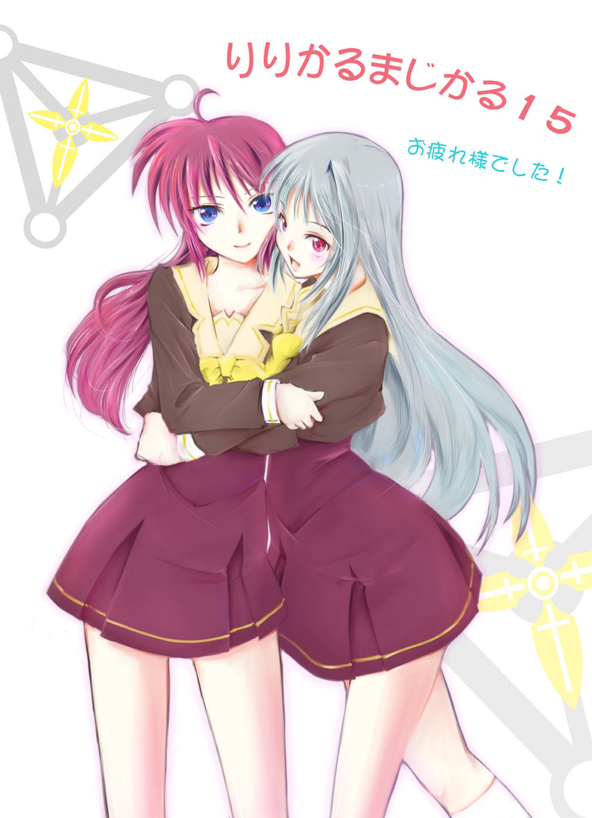 signum and reinforce (lyrical nanoha and 2 more) drawn by jason_(kaiten_kussaku_kikou)