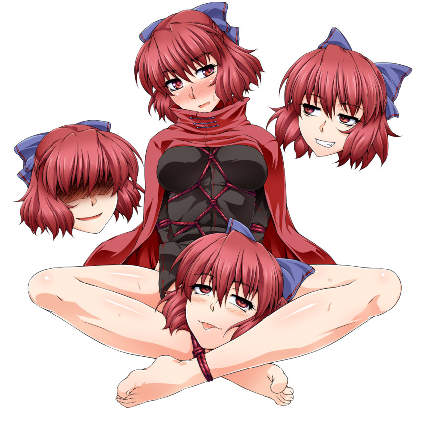 sekibanki (touhou) drawn by ootsuki_wataru