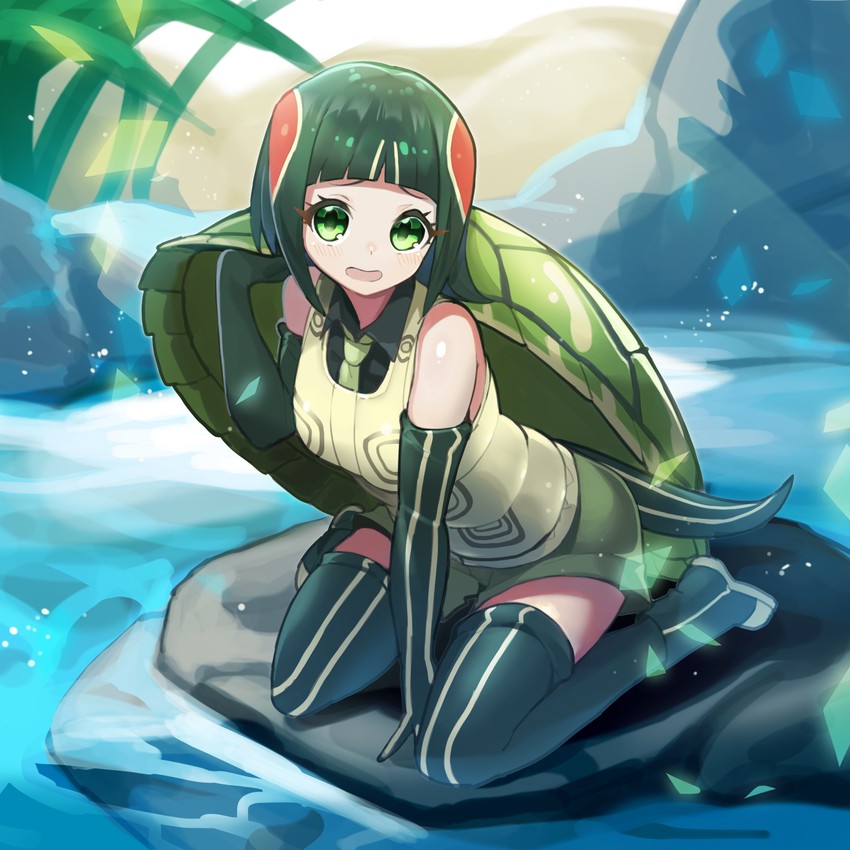 red-eared slider (kemono friends and 1 more) drawn by baniran_dorosu