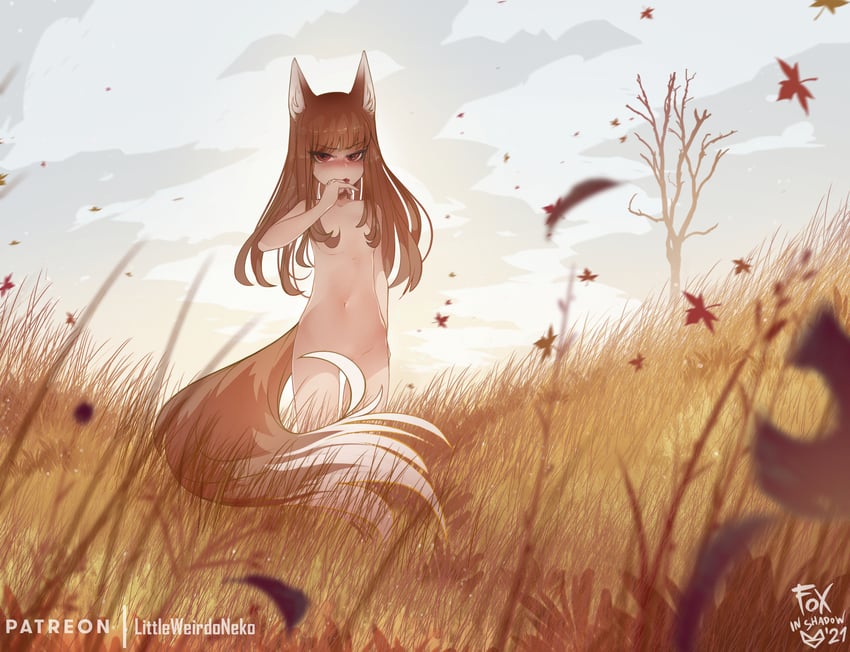 holo (spice and wolf) drawn by foxinshadow