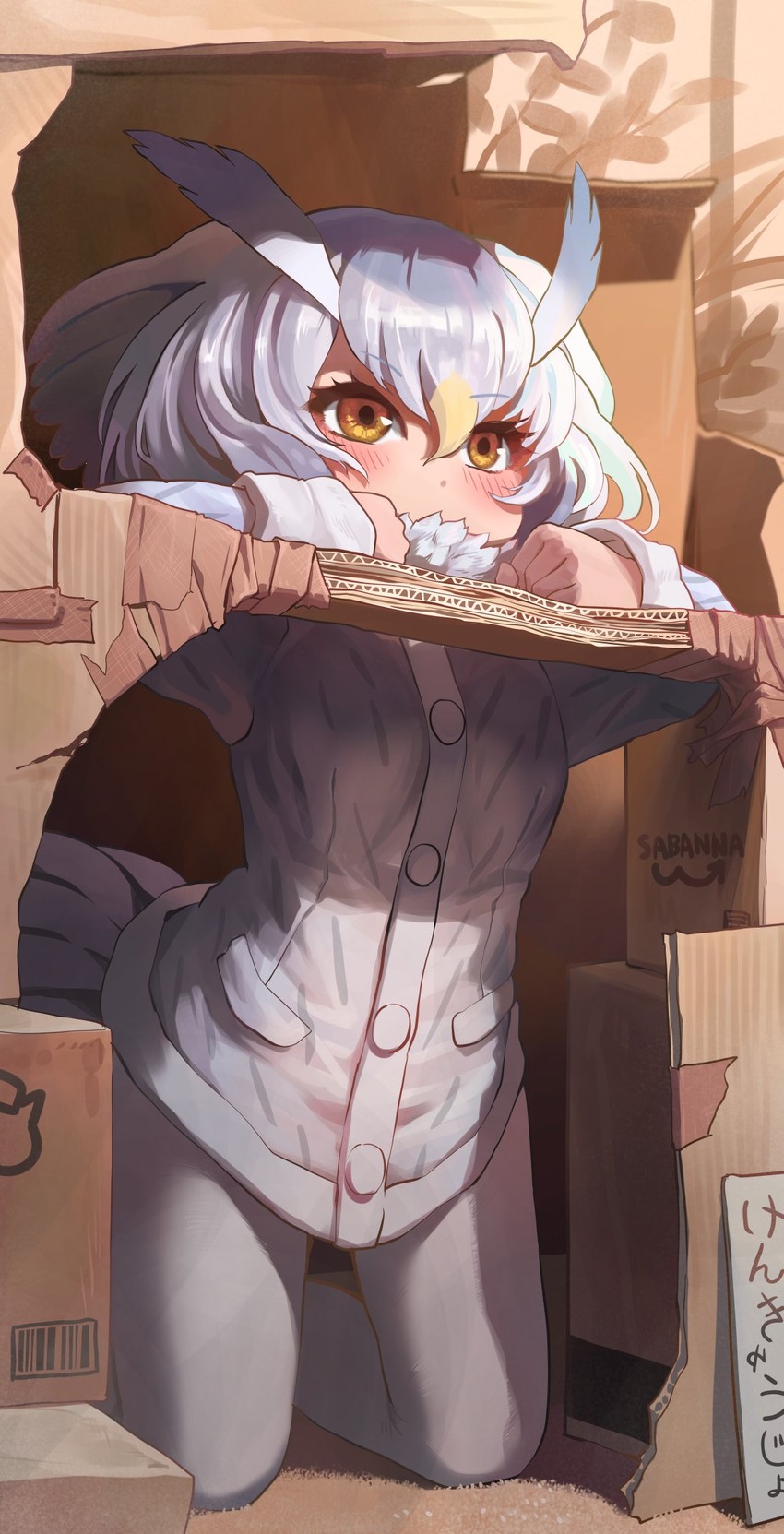 northern white-faced owl (kemono friends) drawn by melaton