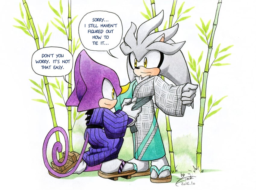 silver the hedgehog and espio the chameleon (sonic and 2 more) drawn by finik