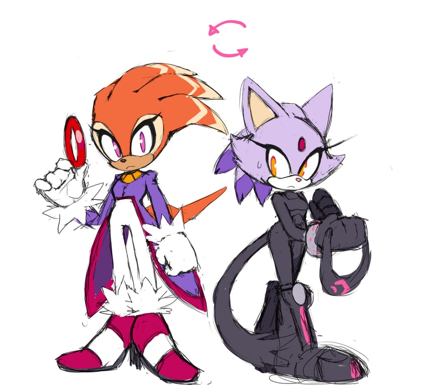 blaze the cat and shade the echidna (sonic and 1 more) drawn by motobug