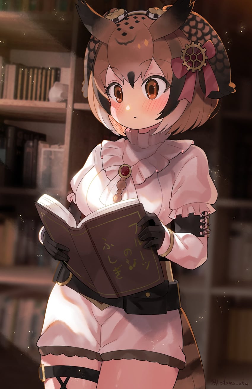 eurasian eagle owl (kemono friends and 1 more) drawn by kedama_(ughugjydthjdf)
