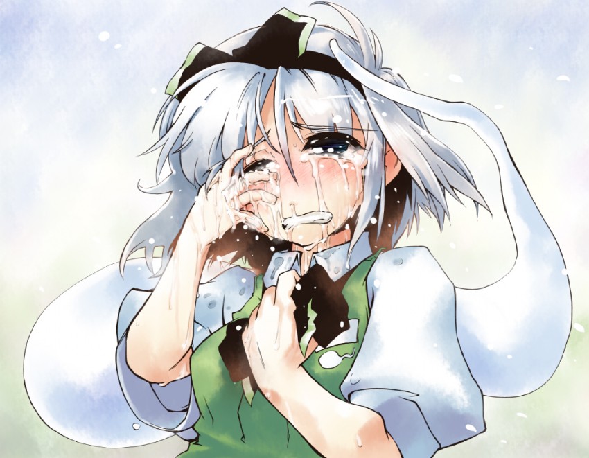 konpaku youmu (touhou) drawn by nanaroku_(fortress76)