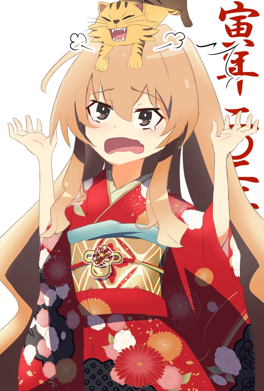 aisaka taiga and palmtop tiger (toradora!) drawn by nuage