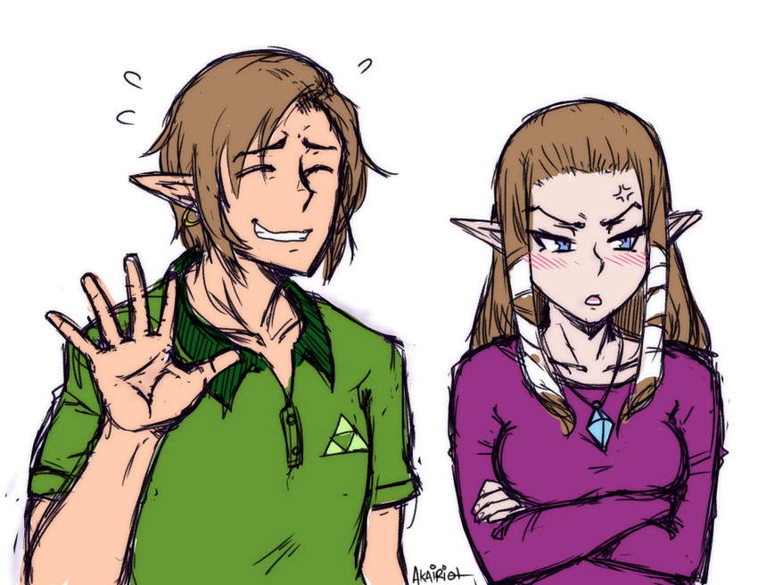 link and princess zelda (the legend of zelda and 1 more) drawn by akairiot