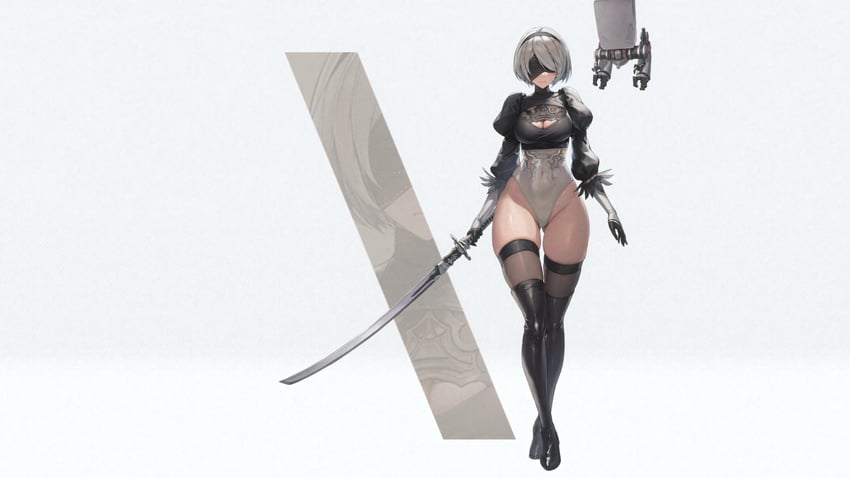 2b and pod (goddess of victory: nikke and 2 more)