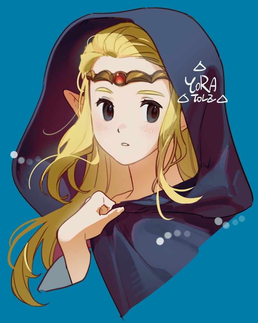 princess zelda (the legend of zelda and 1 more) drawn by duckyora