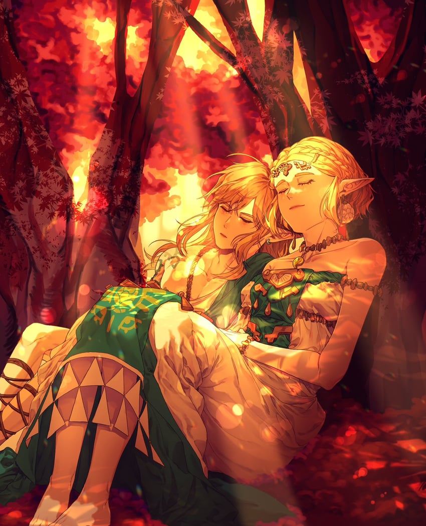 link and princess zelda (the legend of zelda and 1 more) drawn by pu_hegg