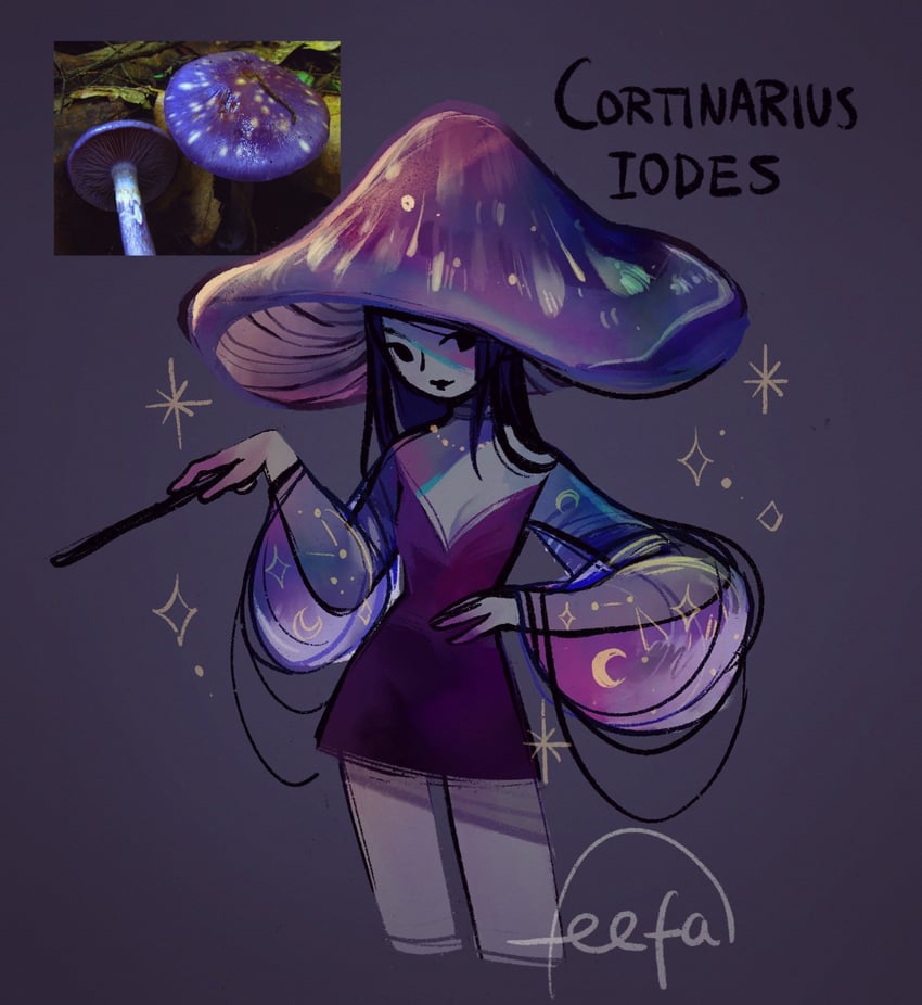 cortinarius iodes (original) drawn by feefal