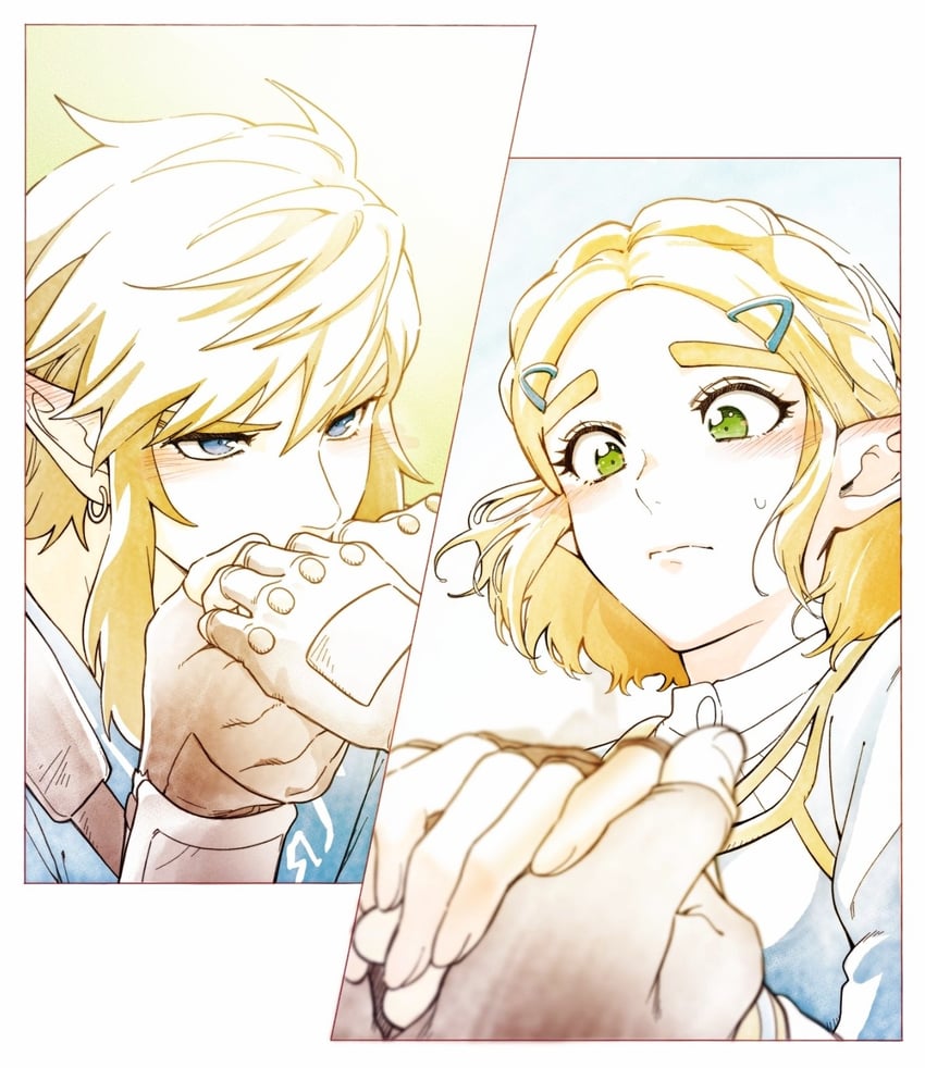 link and princess zelda (the legend of zelda and 1 more) drawn by tnp