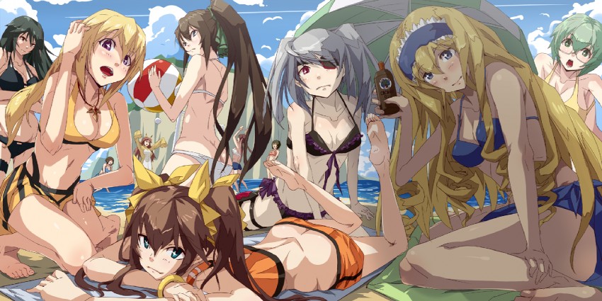 charlotte dunois, cecilia alcott, laura bodewig, shinonono houki, huang lingyin, and 3 more (infinite stratos) drawn by hiroaki_(hiropon_pj)