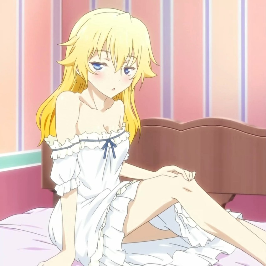 nasuhara anastasia (onii-chan dakedo ai sae areba kankeinai yo ne)
