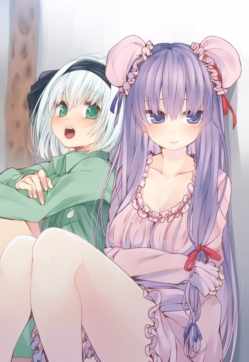 konpaku youmu and patchouli knowledge (touhou) drawn by nigo_(aozoragarou)