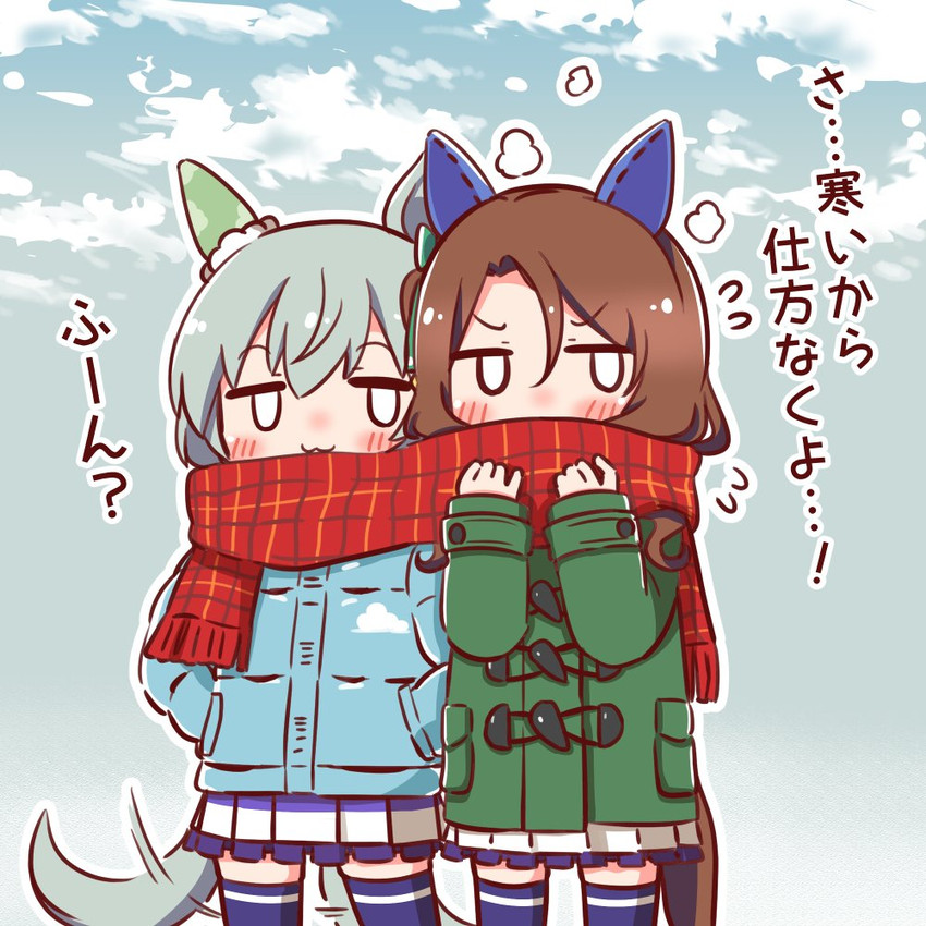 king halo and seiun sky (umamusume) drawn by kyou_(fr39)