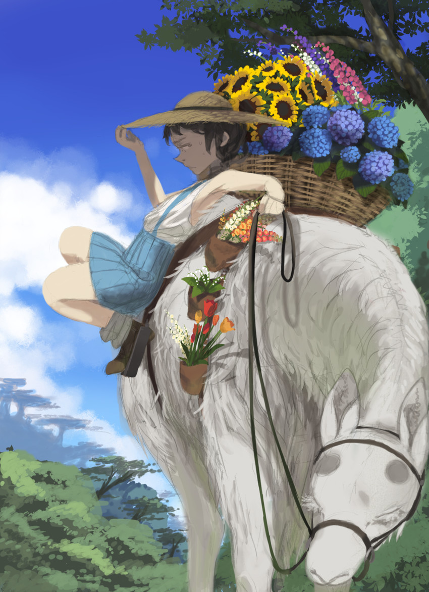 original drawn by pachyphytum