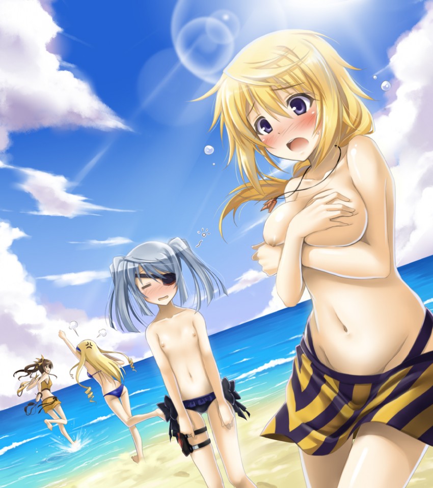 charlotte dunois, cecilia alcott, laura bodewig, and huang lingyin (infinite stratos) drawn by okitakung