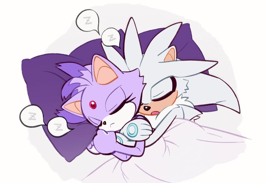blaze the cat and silver the hedgehog (sonic) drawn by miijiu