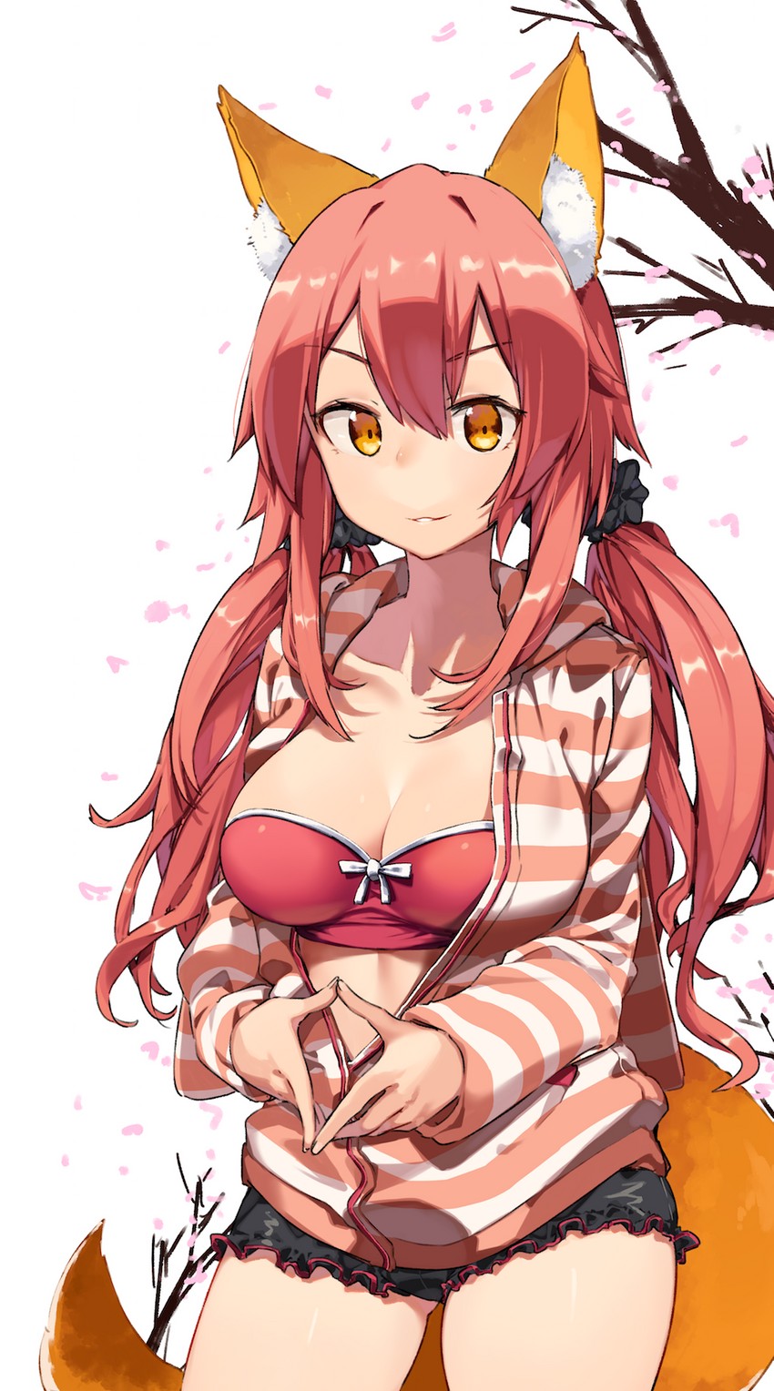 tamamo and tamamo no mae (fate and 1 more) drawn by kei_(soundcross)