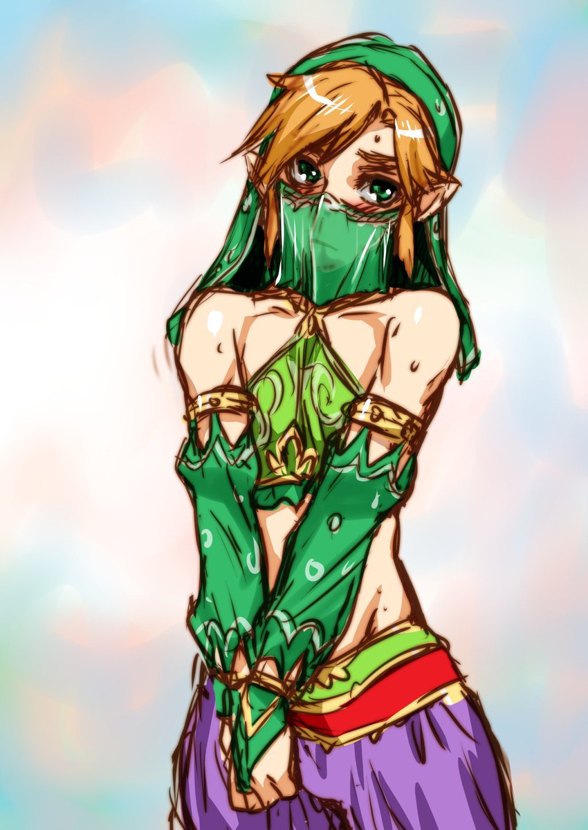 link (the legend of zelda and 1 more) drawn by mitarashi_kousei