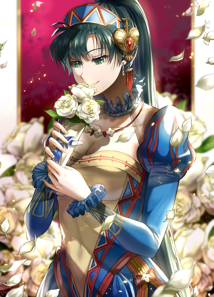 lyn (fire emblem and 2 more) drawn by delsaber